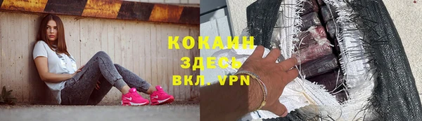 дживик Осташков
