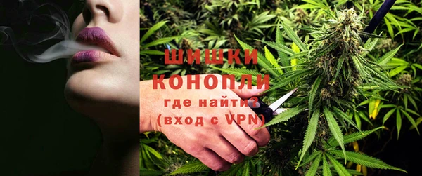 дживик Осташков
