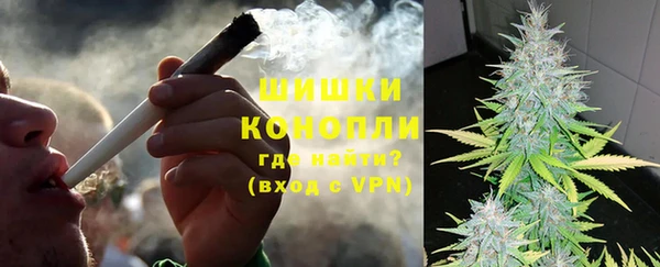 PSILOCYBIN Елабуга